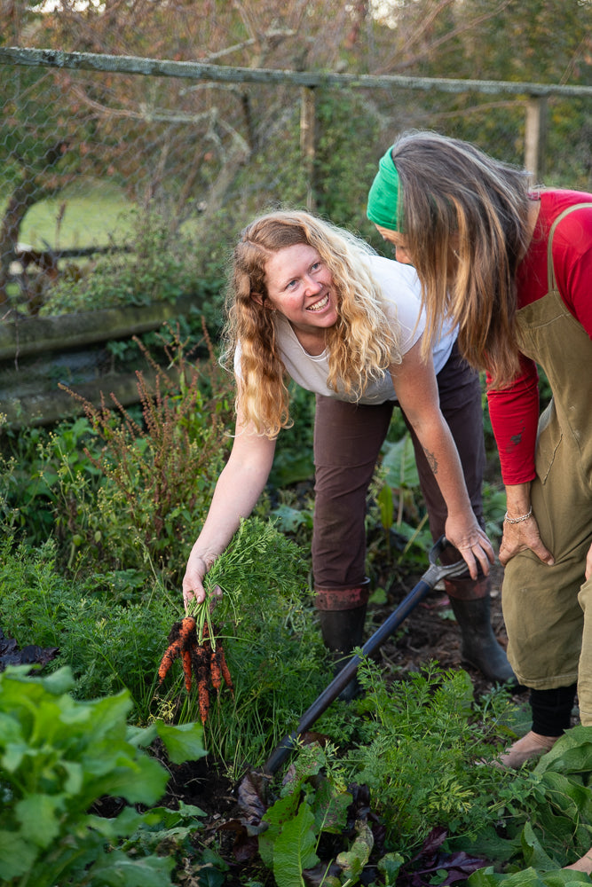 Two people working in a garden holding a bunch of freshly harvested carrots