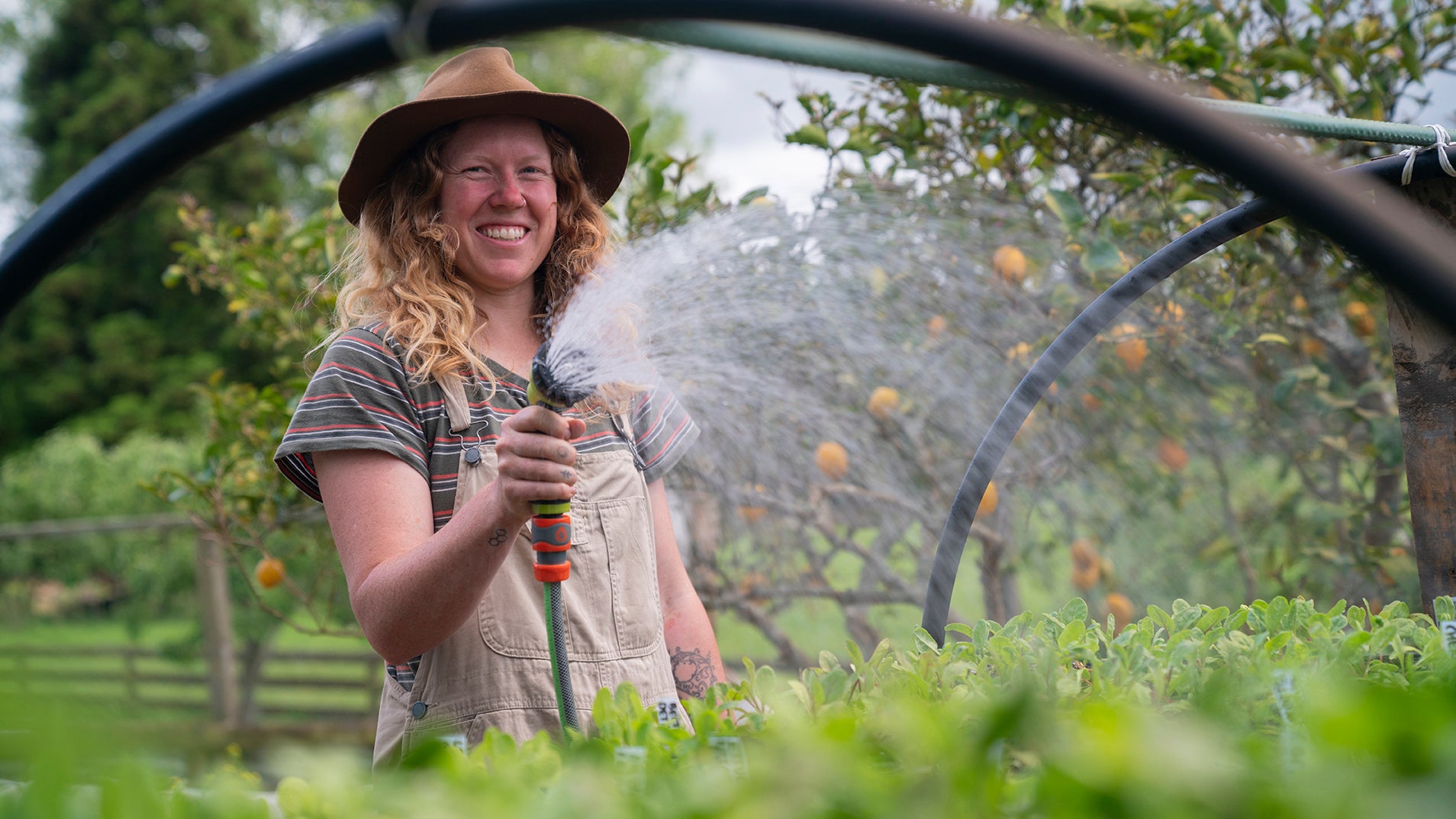 Person watering seedlings in a plant nursery with a hose